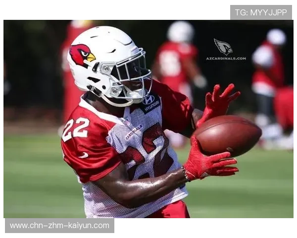 红雀再输一场，媒体开始倒计时主帅去留，红雀 pan