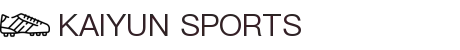 开云·体育(官网)KAIYUN SPORTS